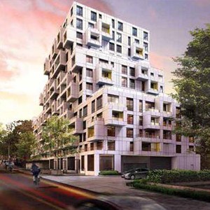 SQ at Alexandra Park