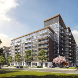 The King's Mill at Backyard